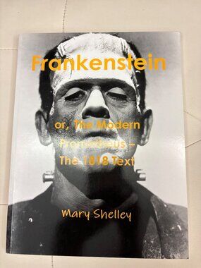 Frankenstein or The Modern Prometheus Mary Shelley 1818 Text Paperback Horror